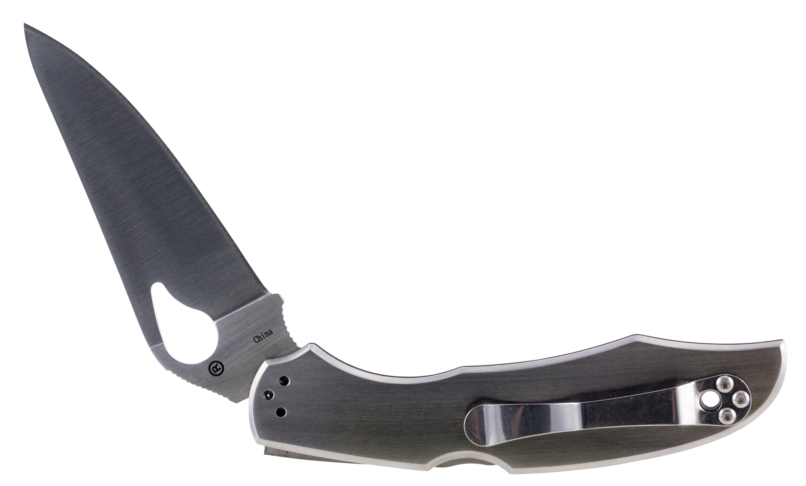 Spyderco Byrd 3.75 Spear Point BY03P2"