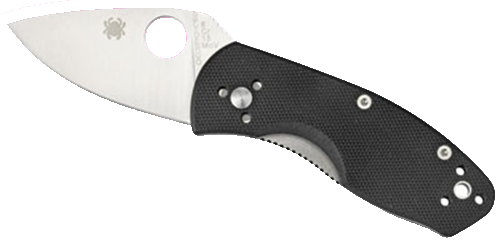 Spyderco Ambitious 2.25 Drop Point C148GP"
