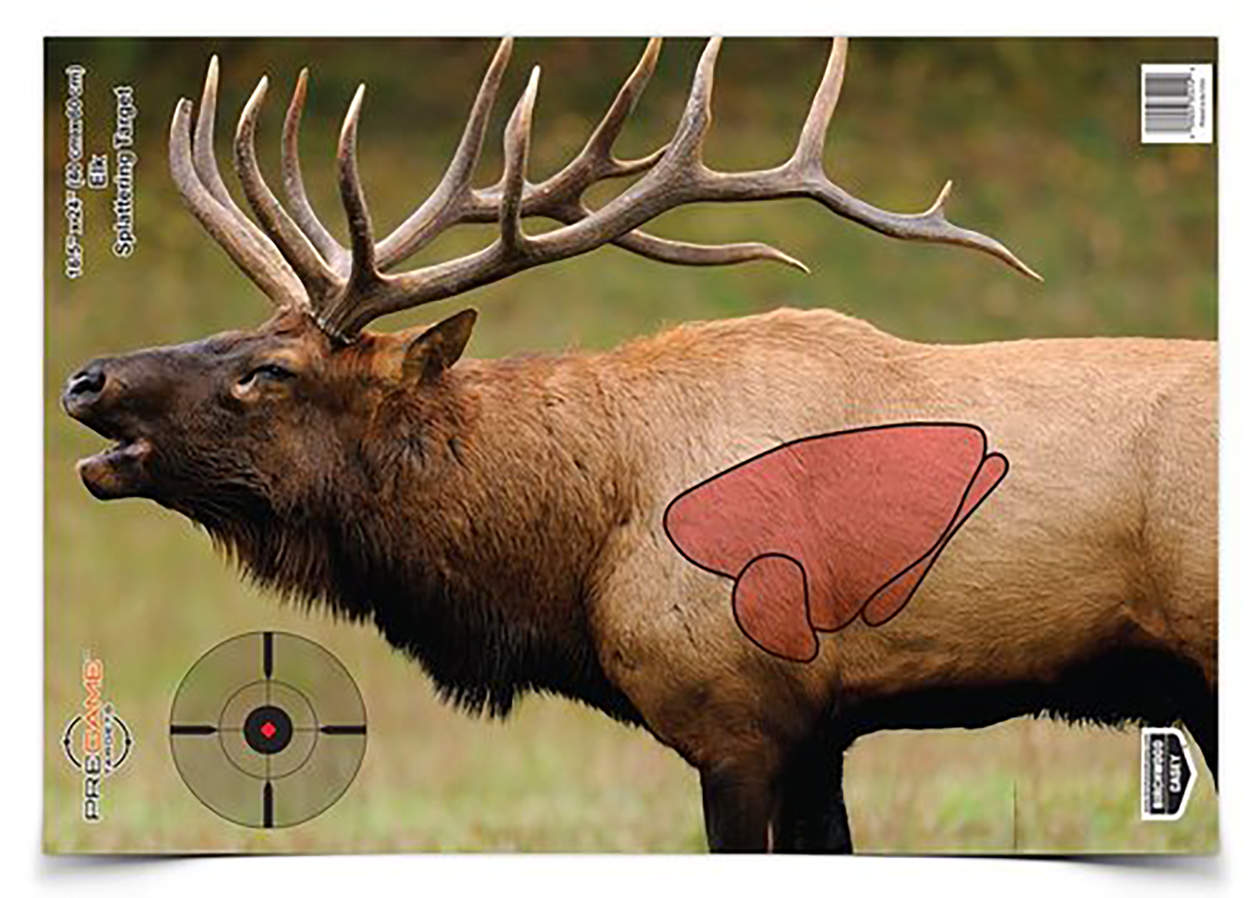 Birchwood Casey Pregame 16.5x24 Elk Paper Targets 3 Pack (Multi-Color)