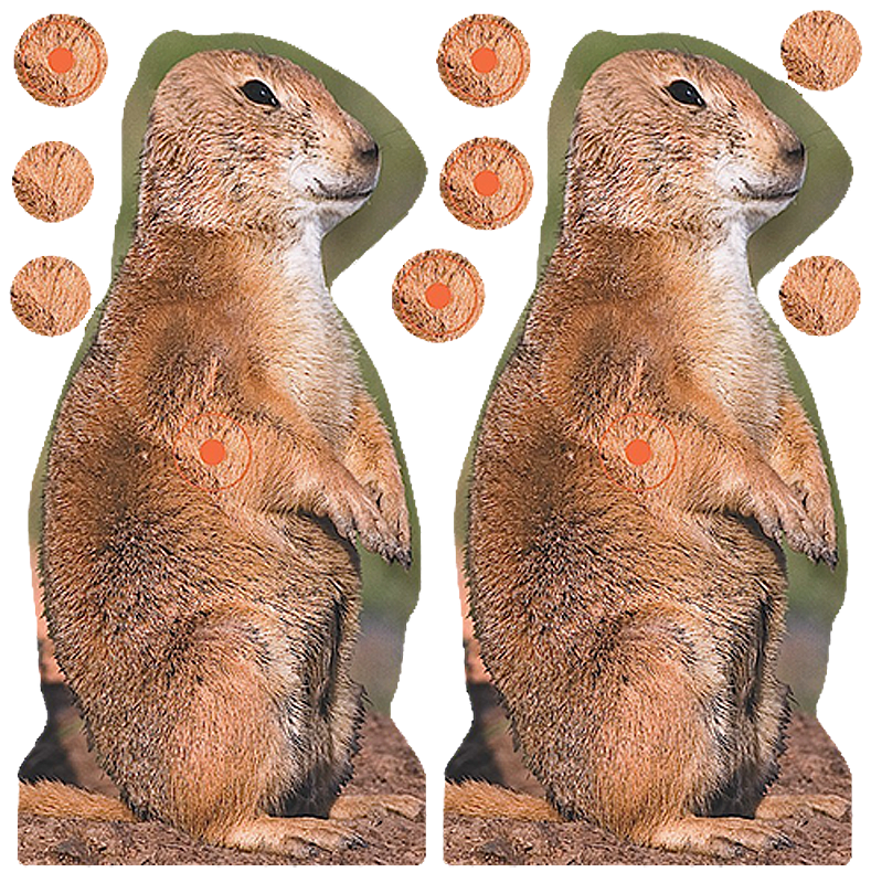 Birchwood Casey Shoot-N-C Reactive 12 Prairie Chuck Targets  12 Pack (Multi-Color)