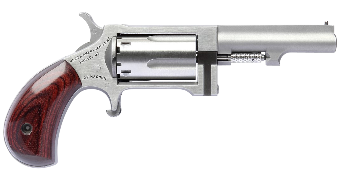 NAA Sidewinder 22 Mag/WMR Single Action 2.50 5 Shot Revolver