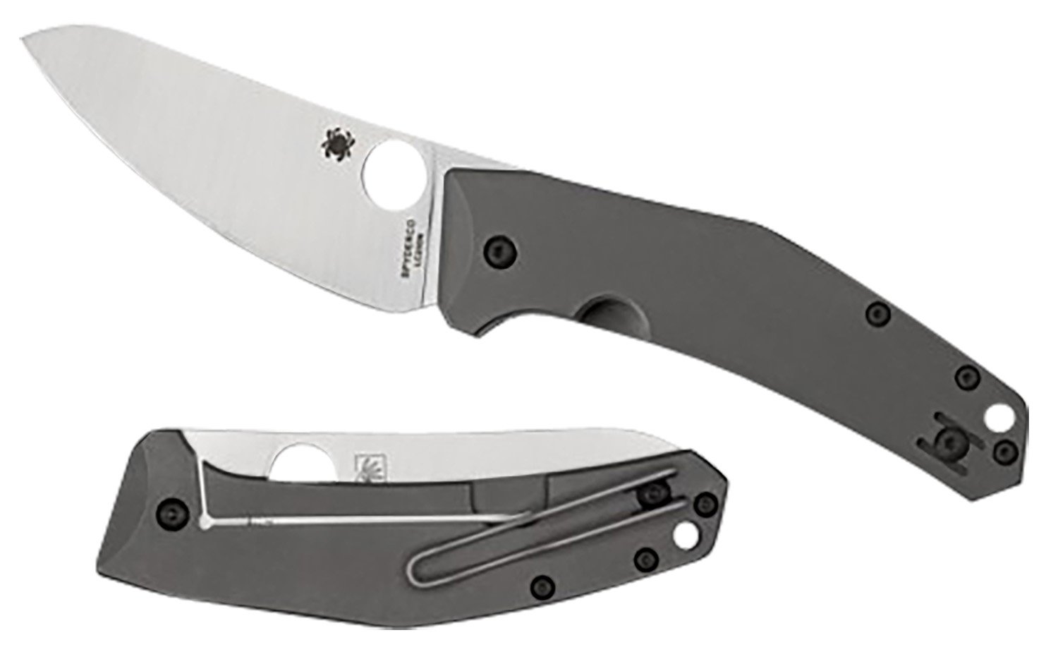 Spyderco SpydieChef Salt 3.32 Folding Knife C211TIP"