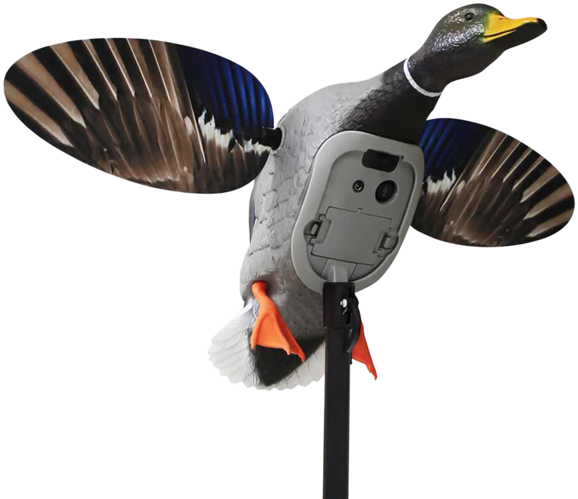 Mojo Elite Series King Mallard Decoy Multi-Color Plastic