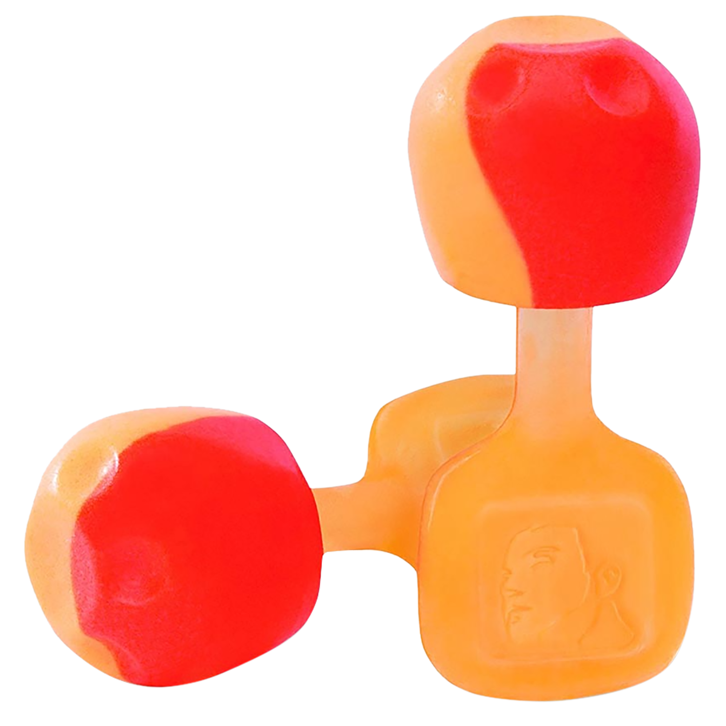 Howard Leight Foam Earplugs NRR 28 dB 5 Pairs