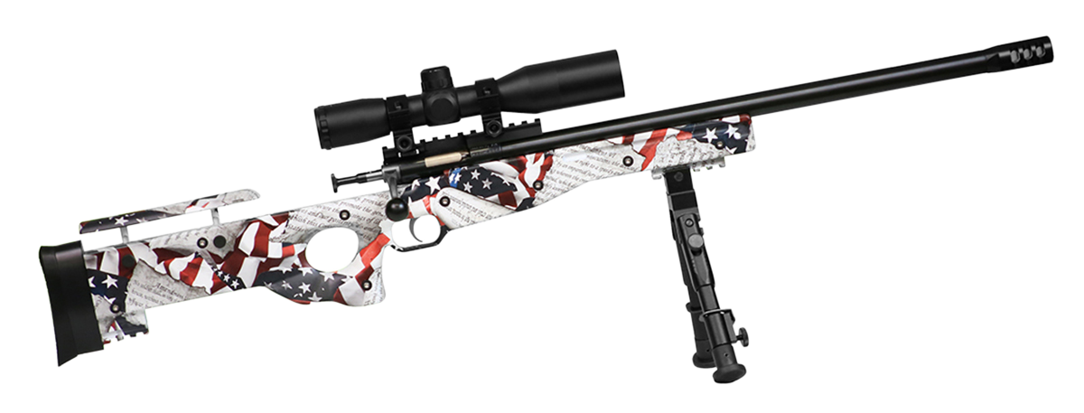 Crickett Precision 22 LR Bolt 16.12 1rd American Flag