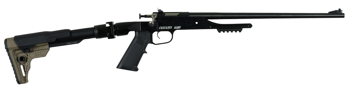 Crickett Precision 22 LR Bolt 16.13 1rd