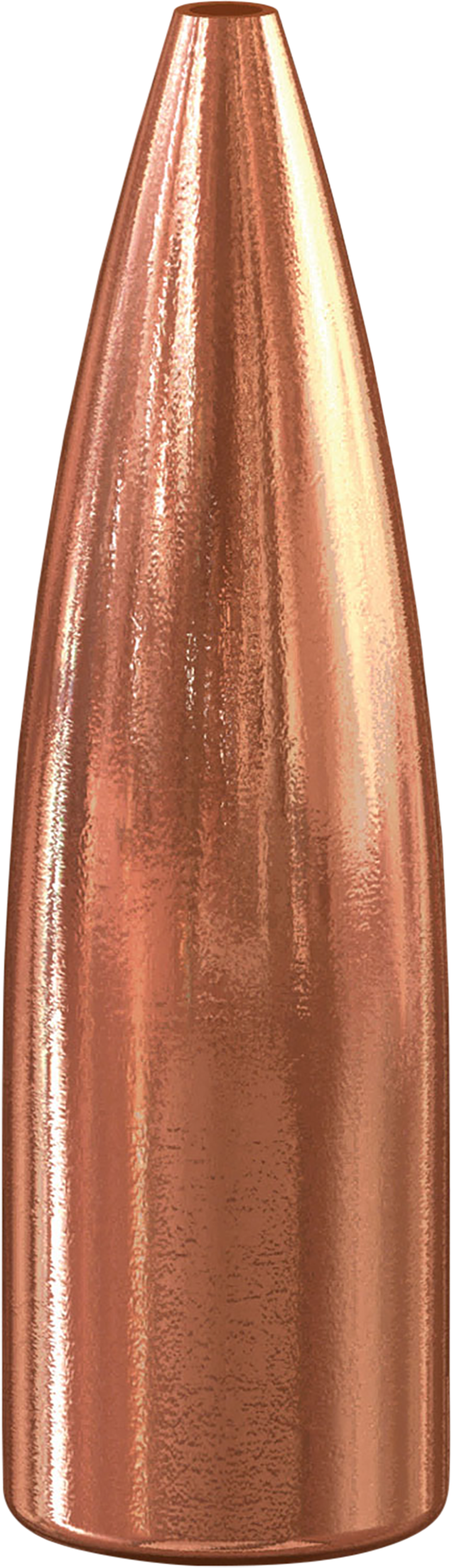 Speer TNT Varmint .22 Cal 50 gr Hollow Point 1000 Pack